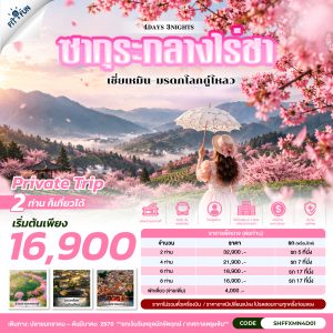 SHFFXMN4D01